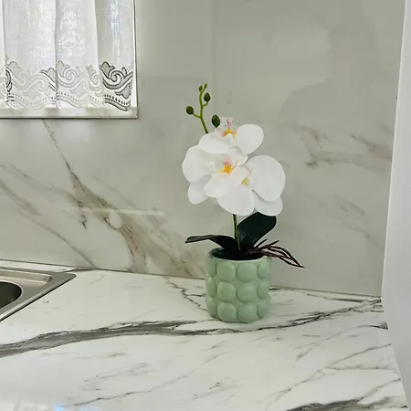 Apartment Todi's
